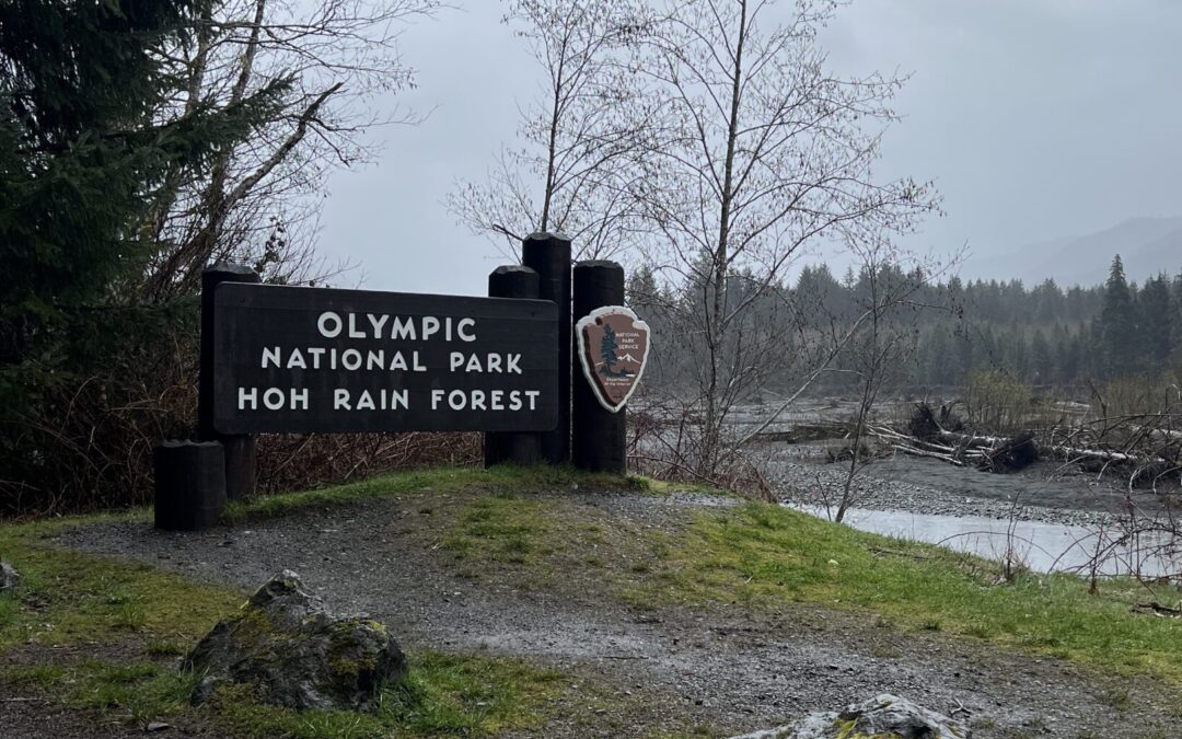 Itinerary for 48 Hours (2 Days) in Olympic National Park Mary Zilberfarb